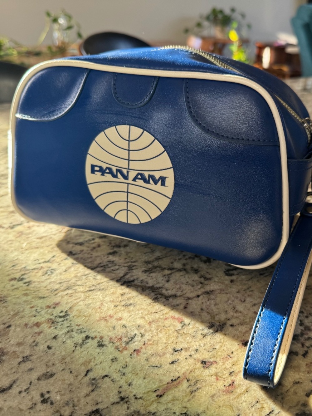 Pan Am Certified reproduction retro travel case